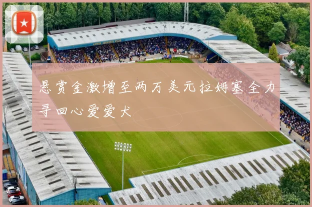 悬赏金激增至两万美元拉姆塞全力寻回心爱爱犬