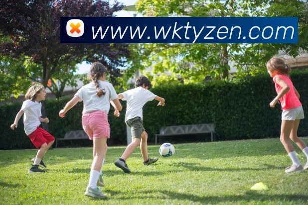 悟空体育发展历程